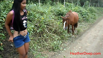 Experience The Thrill Of Peeing Next To A Horse In The Jungle In High Definition